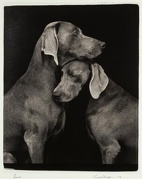 William Wegman, archival pigment print 2009, signed. Numbered 113/1500 verso.