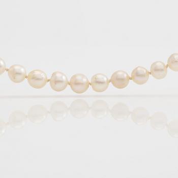 COLLIER, pärlor, lås 18K vitguld och diamanter.