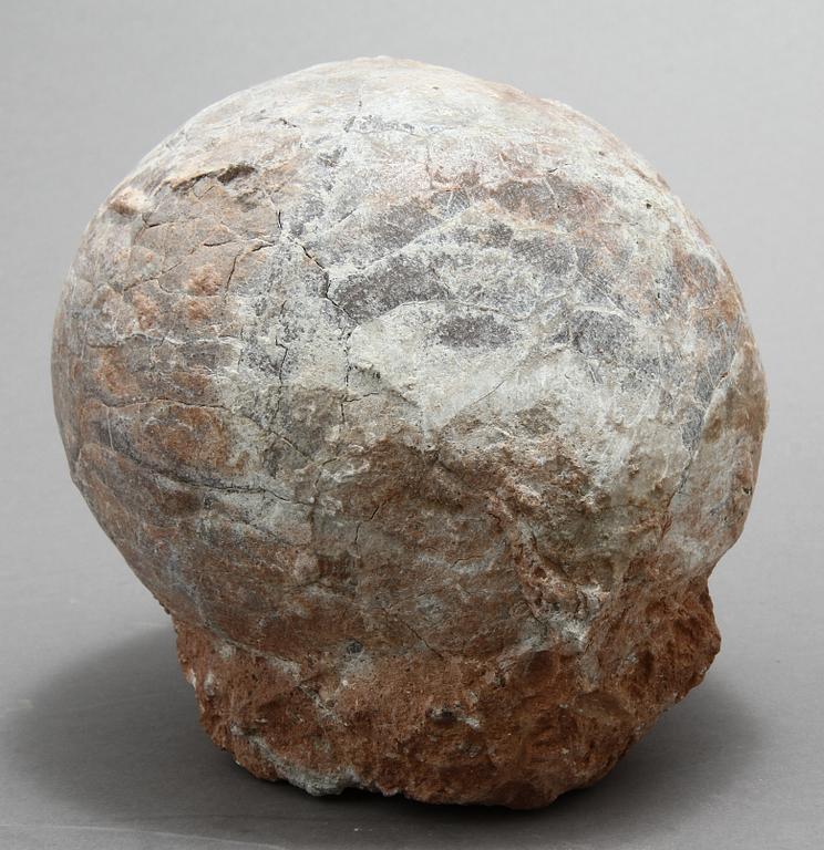 DINOSAURIEÄGG, fossil.