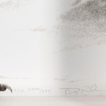 THOMAS KLEMENTSSON, photograph signed, dated and numbered 8/20.