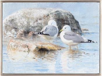 Lars Jonsson, Seagulls.