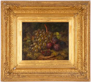 William H. Smith, Still Life with Fruits and Butterfly.