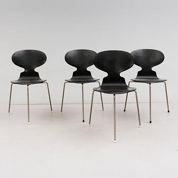 STOLAR, 4 st, "Myran", Arne Jacobsen, Fritz Hansen, 1900-talets mitt.