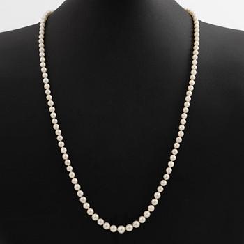 Necklace with graduated cultured pearls, clasp 18K gold.