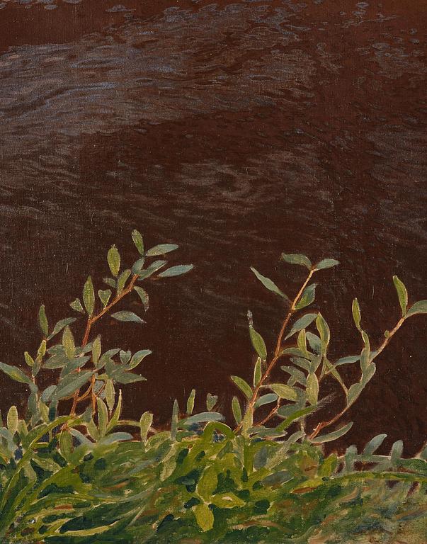 Gustaf Fjæstad, Spring brook.
