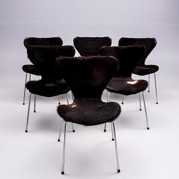 STOLAR, 6 st, "Sjuan" Arne Jacobsen, Fritz Hansen.