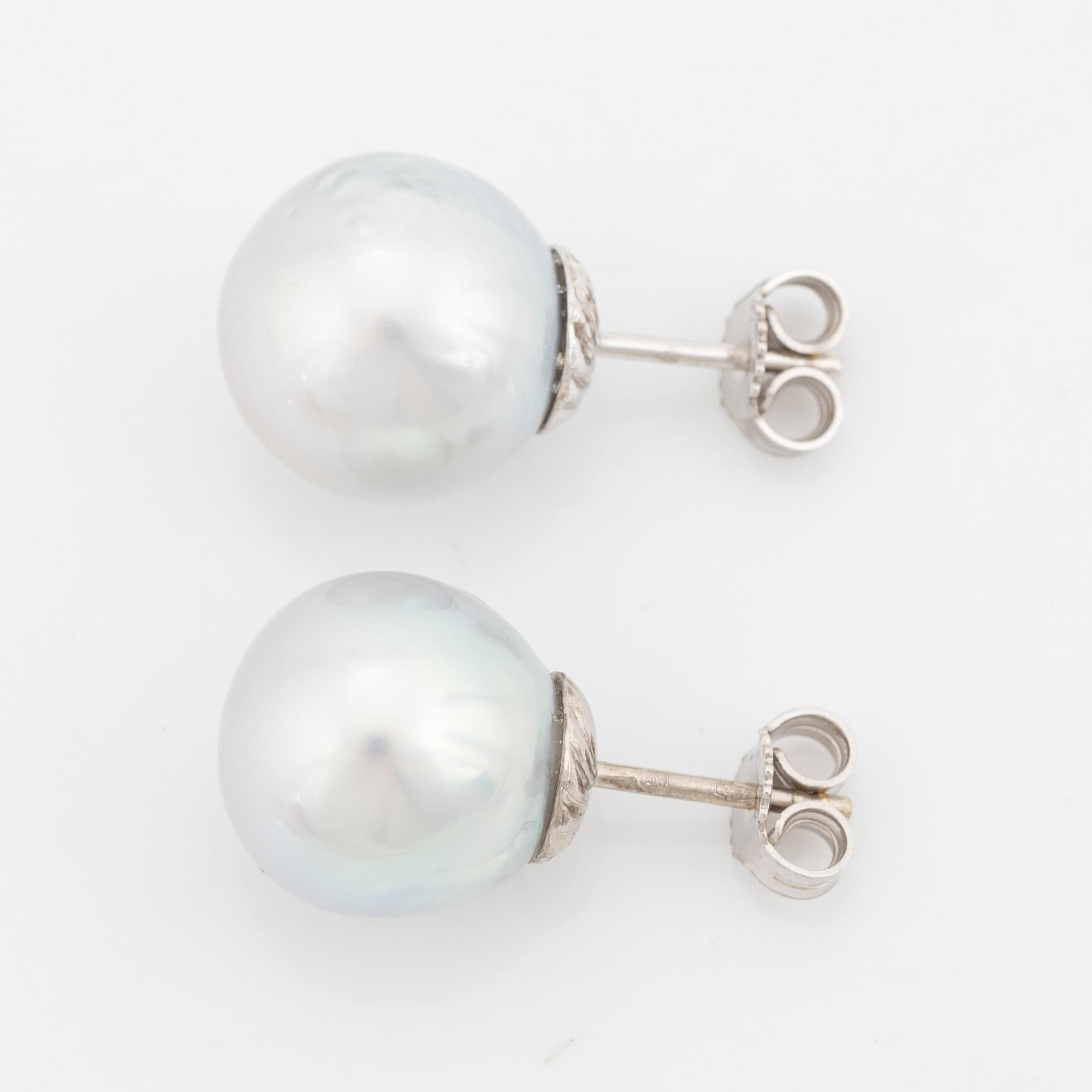 Cultured South sea pearl earrings.