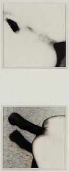 Martina Leo, Diptych from the series "Lustsvit", 1999.