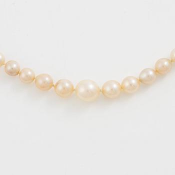 Collier odlade pärlor lås silver med paste.