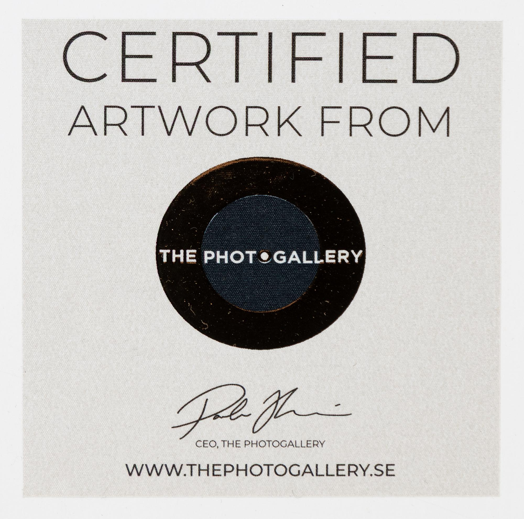 Lynn Goldsmith, "Lou Reed recording studio", 1977.