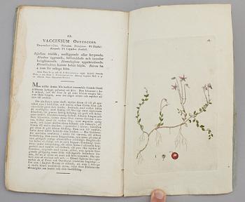 JOHAN WILHELM PALMSTRUCH, "Svensk Botanik, vol I-V. 1803-1805.