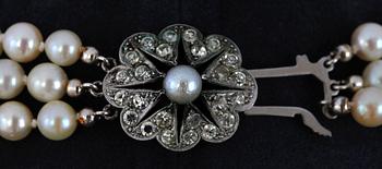 COLLIER, 3-radigt odlade japanska pärlor, ca 6 mm.