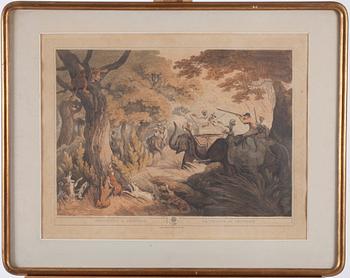 FÄRGLITOGRAFI, efter Capt. Tho'. Wiliamson, London. Pub. by T.Mc Lean Jan. 1819.