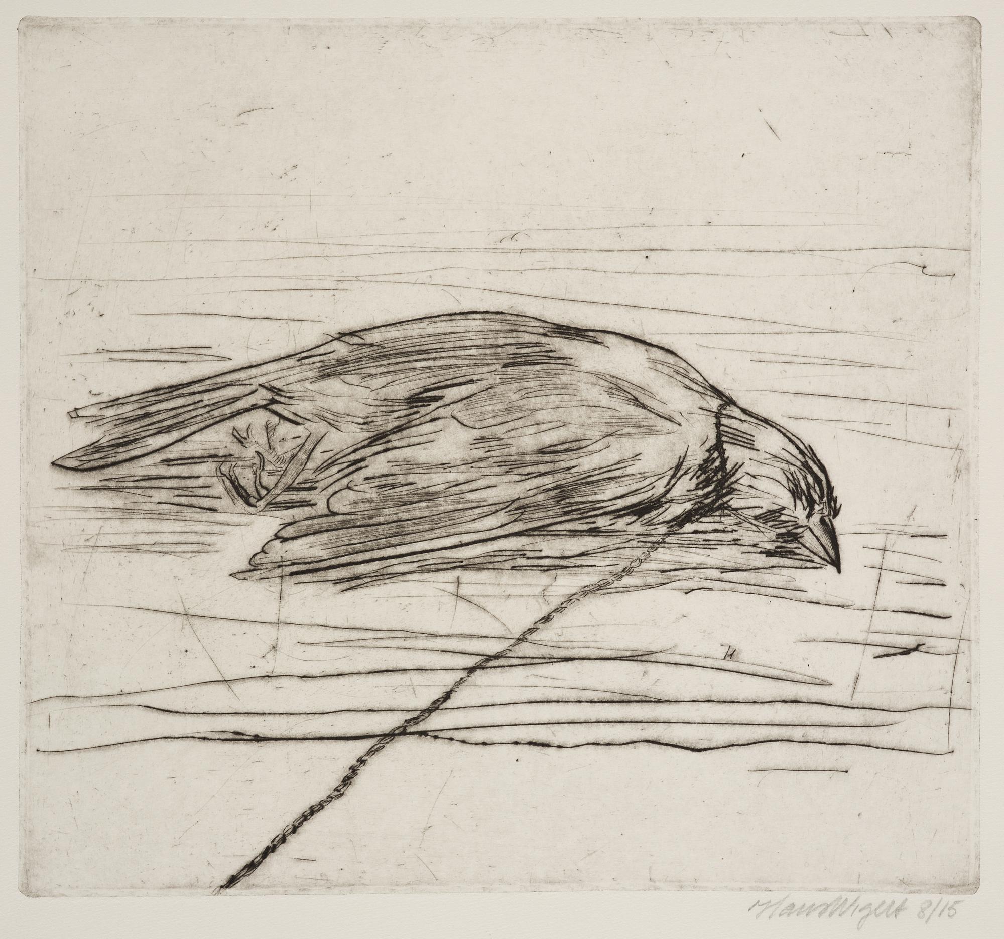Hans Wigert, Dead Bird.
