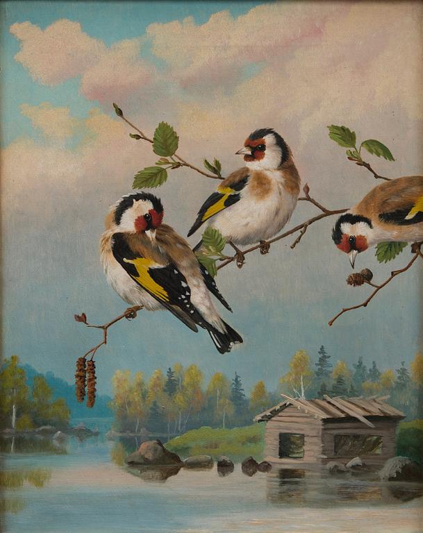 GOLDFINCHES.