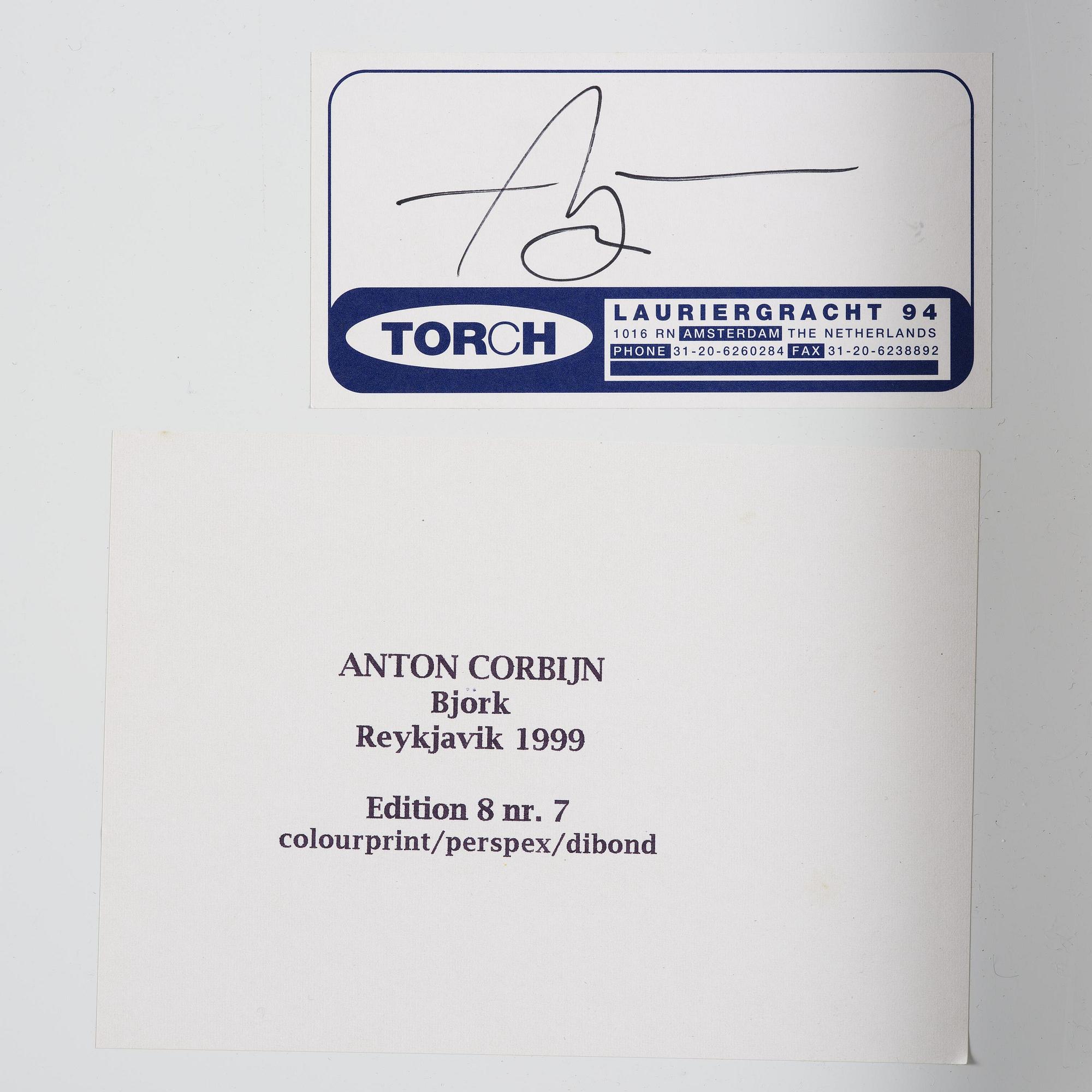 Anton Corbijn, "Bjork, Reykjavik", 1999.