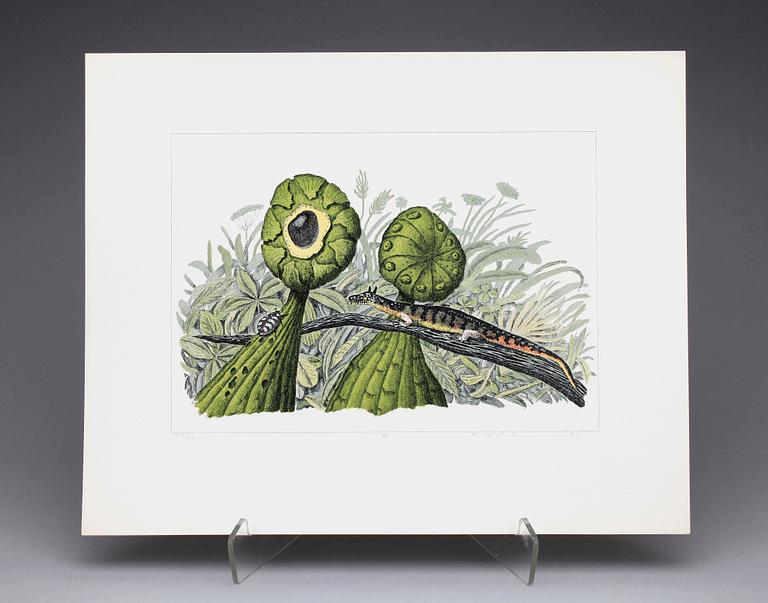 KARL AXEL PEHRSON, mapp med 10 färglitografier, "Vyer från Nirak", sign o numr 37/285. 1973.