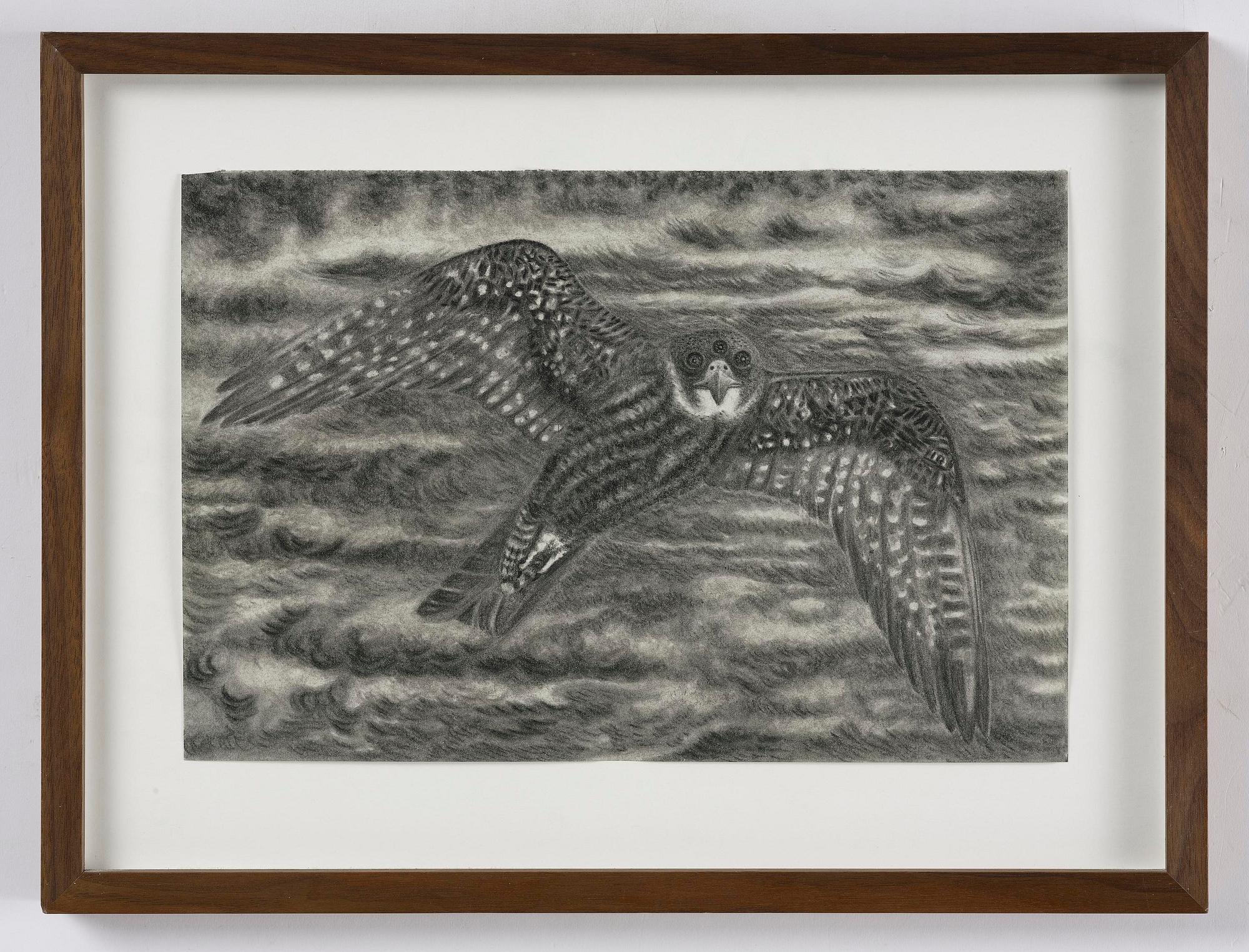 Jeff Olsson, "Funny Bird".