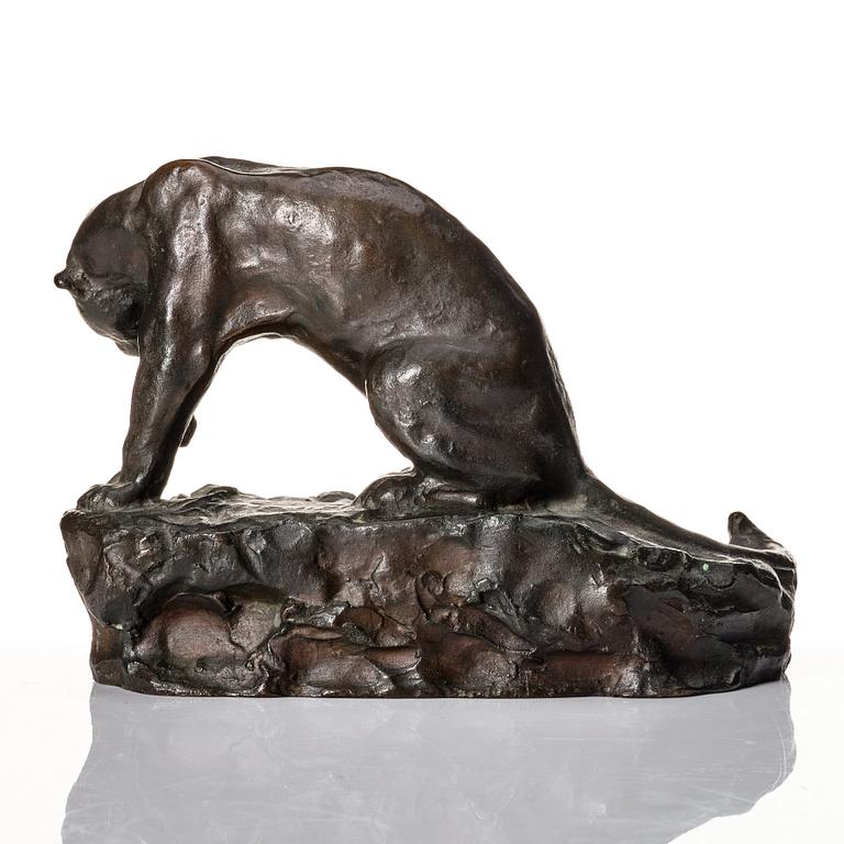 Carl Fagerberg, Puma.