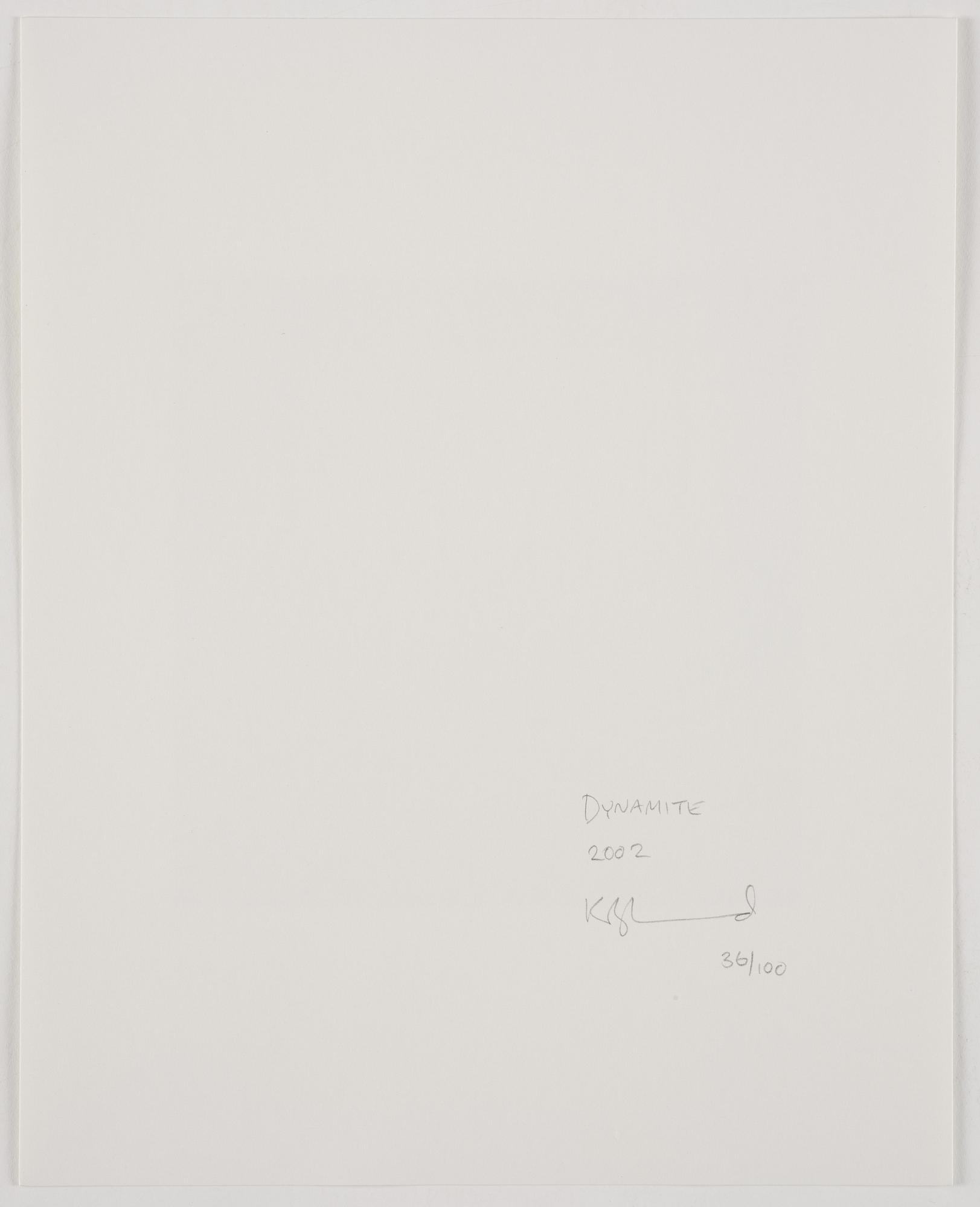 Zoe Leonard, "Dynamite", 2002.