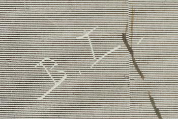 Bruno Liljefors, Fåglar på kvist.