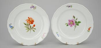 FAT, 5 st, porslin, Meissen 1800-tal.