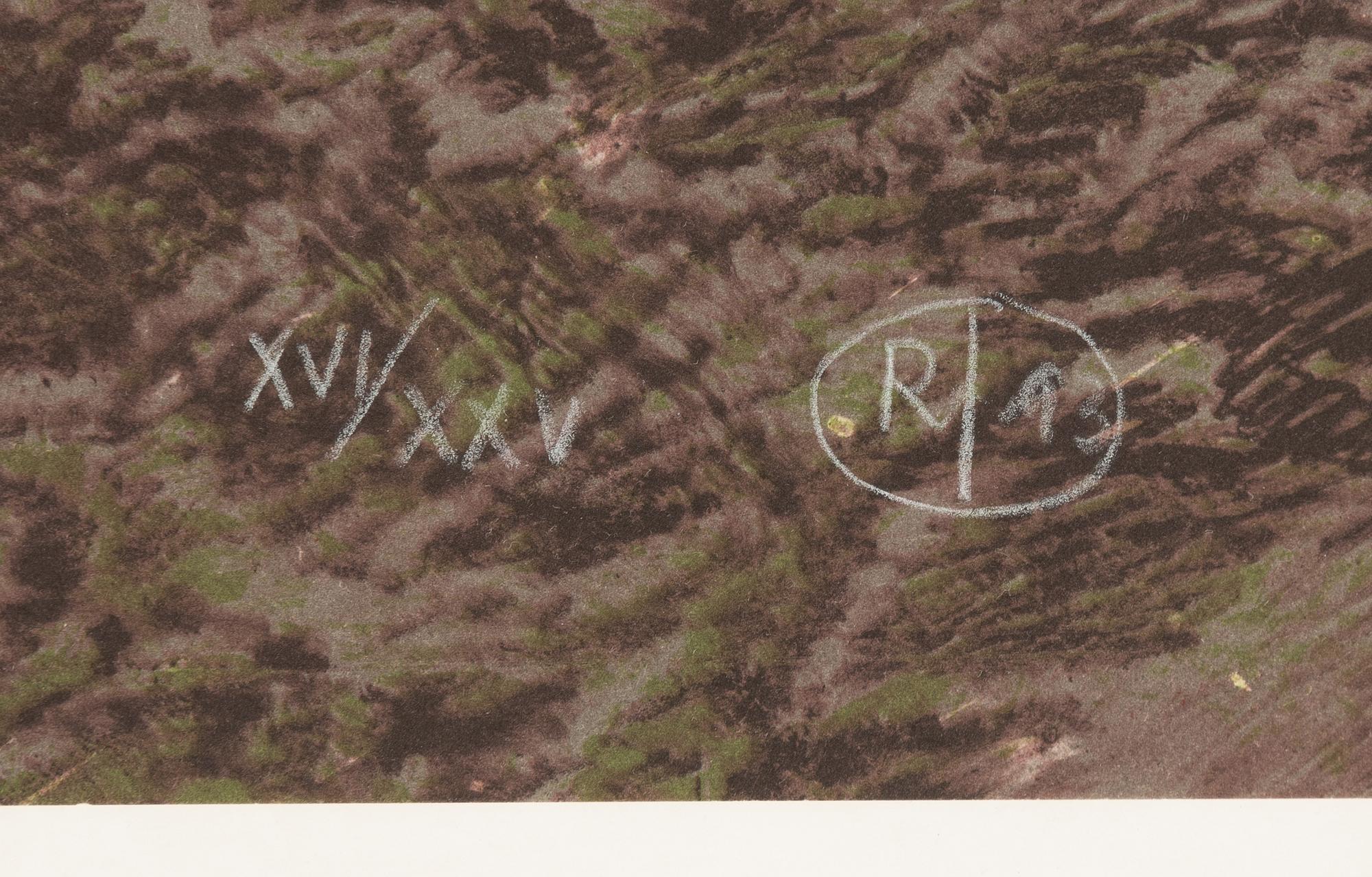 Roj Friberg, lithograph in colours, signed with monogram and numbered XVI/XXV, and dated -93.