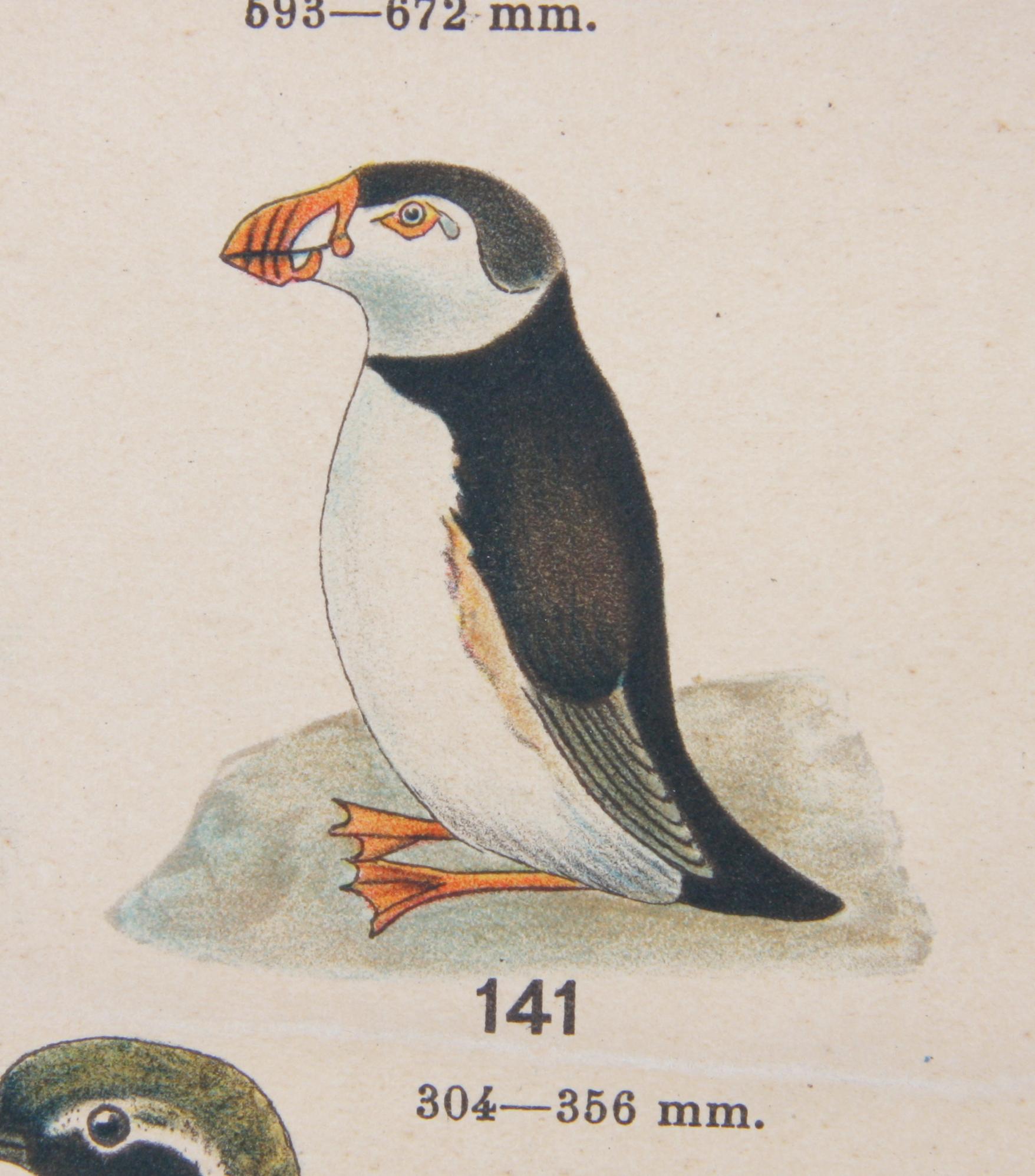 SKOLPLANSCH, tryckt 1915.