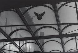 Kenneth Gustavsson – Images of Silence