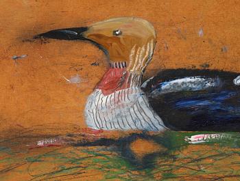 Madeleine Pyk, Great Northern Diver.