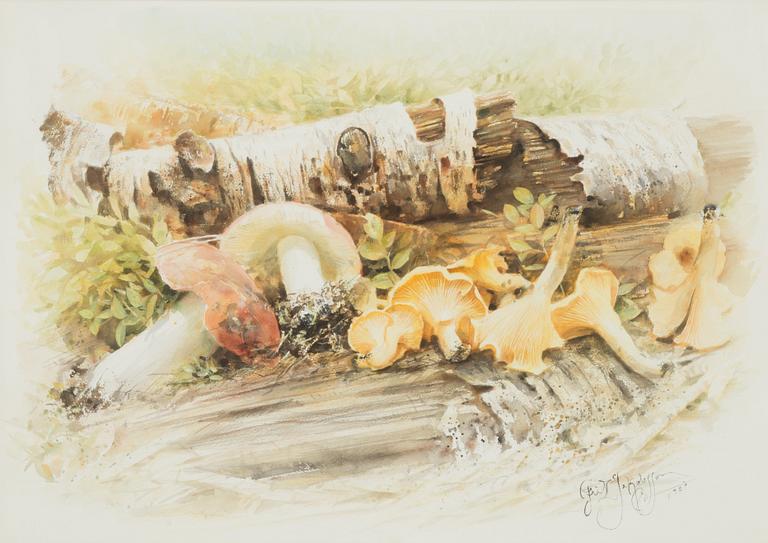 Fritz Jakobsson, watercolour, signed and dated 1987.