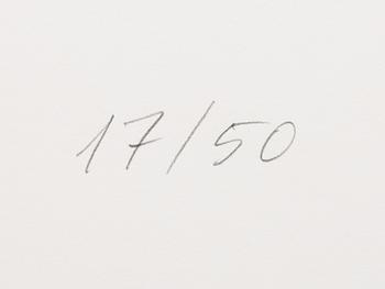 Raul Meel, "Windows and Landscape 3".