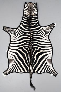 562. ZEBRASKINN, 1900-talets första hälft.