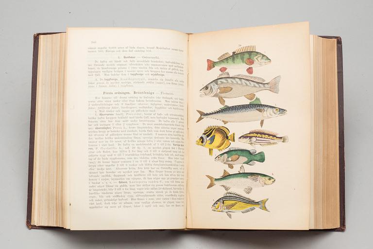 BOK, H.Rebau:s Naturhistoria för skolan och hemmet..."Stockholm, Central-Tryckeriet, på Oscar L. Lamms förlag.1879.