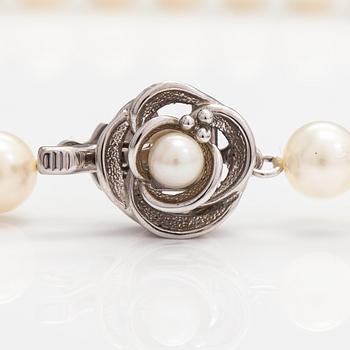 Pärlcollier, odlade pärlor, silver.
