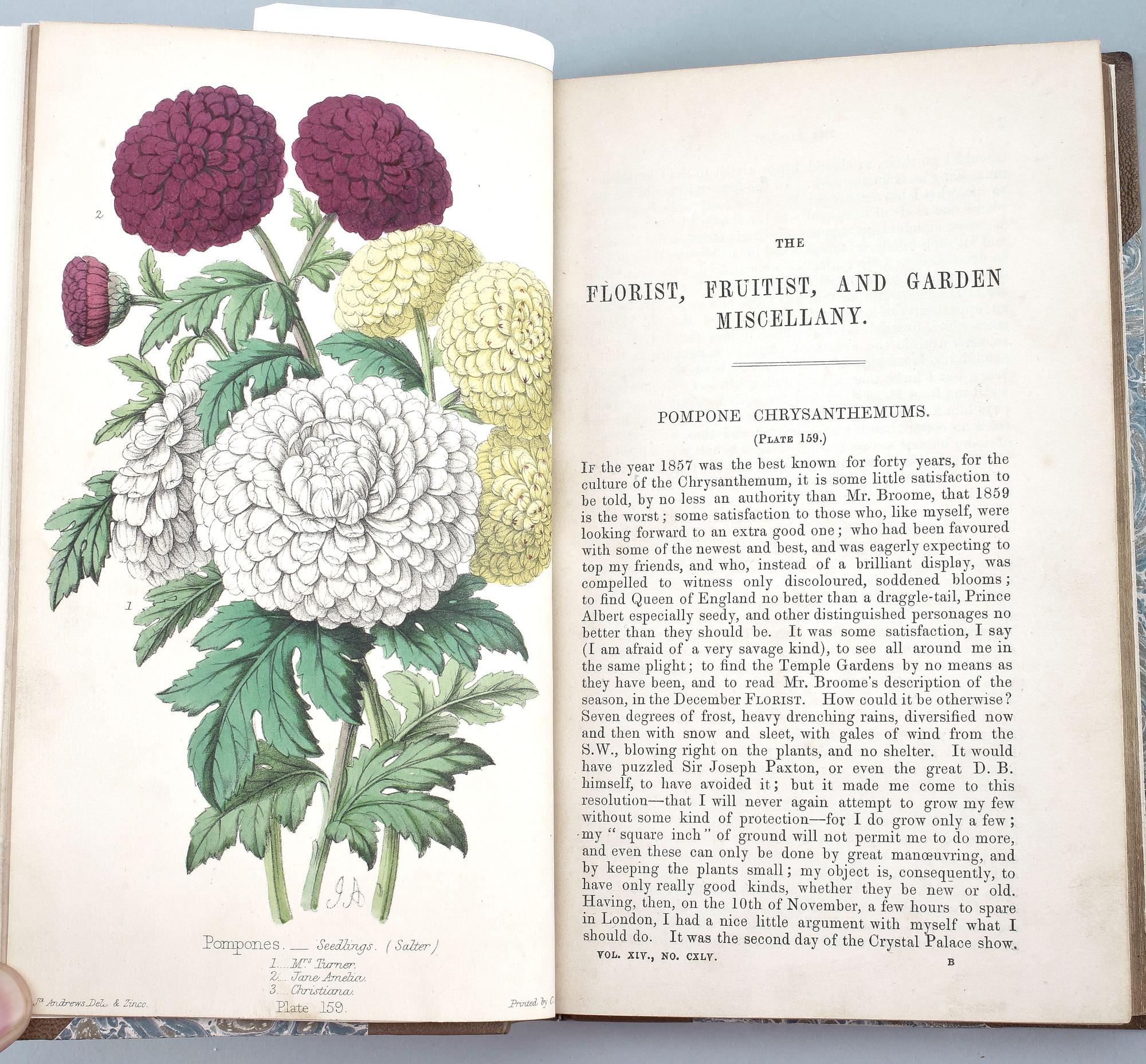 BOK, "The Florist, Fruitist, and Garden Miscellany 1860", Florist Office London 1860.