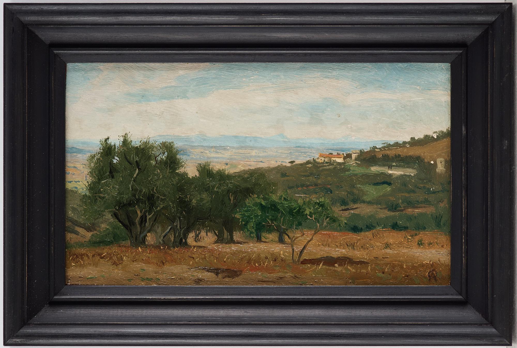 Olof Arborelius, Vy från Capidimonte di Sorrento.