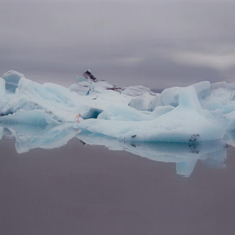 Ann Eringstam, C-print silicone mounted to aluminum and acrylic glass. Signed Ann Eringstam on label verso.