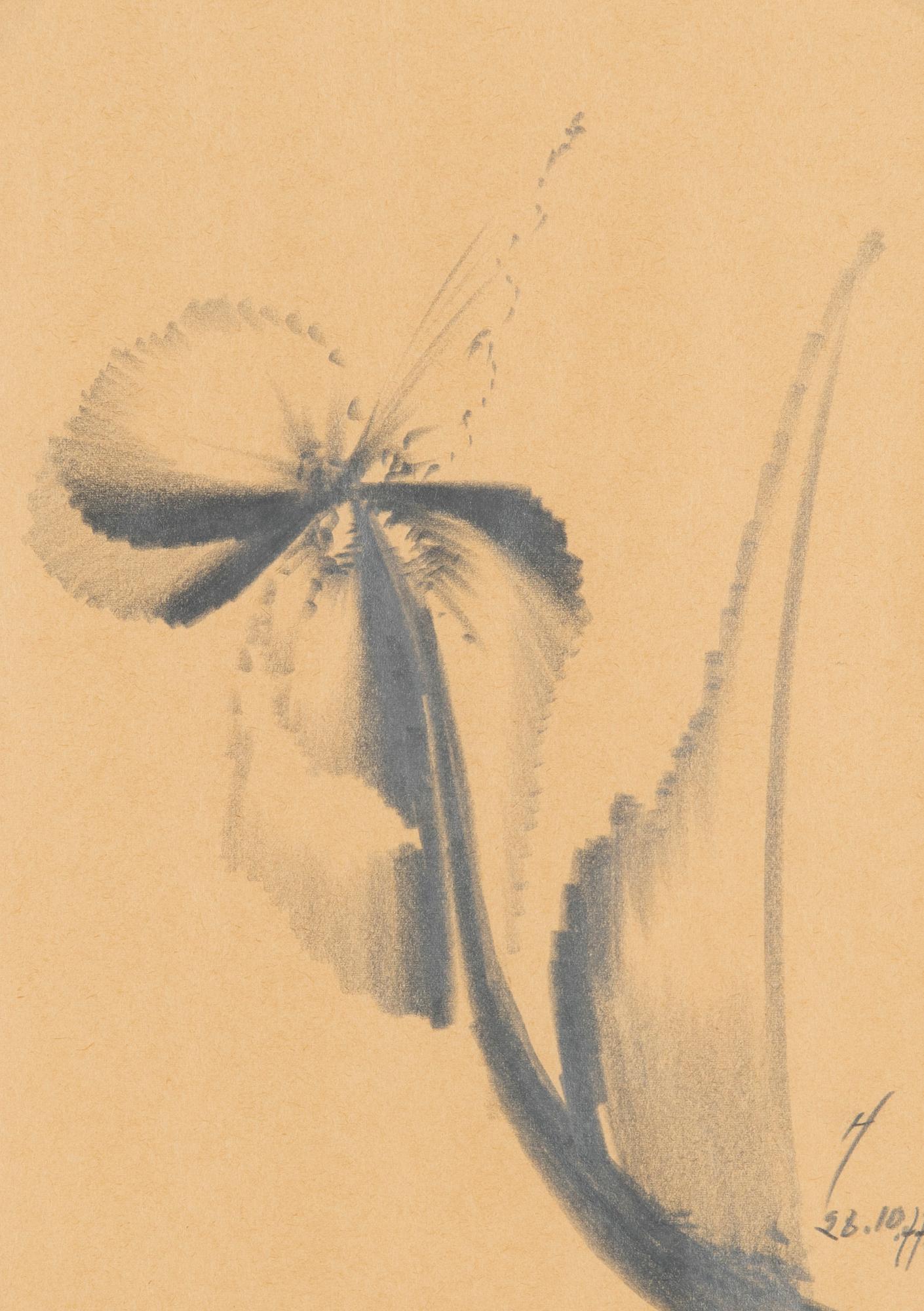 Aleksandra Ionowa, Sielunkukkia.