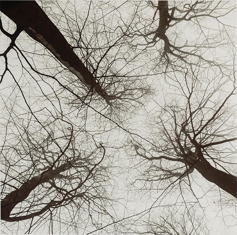 FREDERIK LIEBERATH, photography, archival pigment print. Signed and numbered 1/7 on verso.
