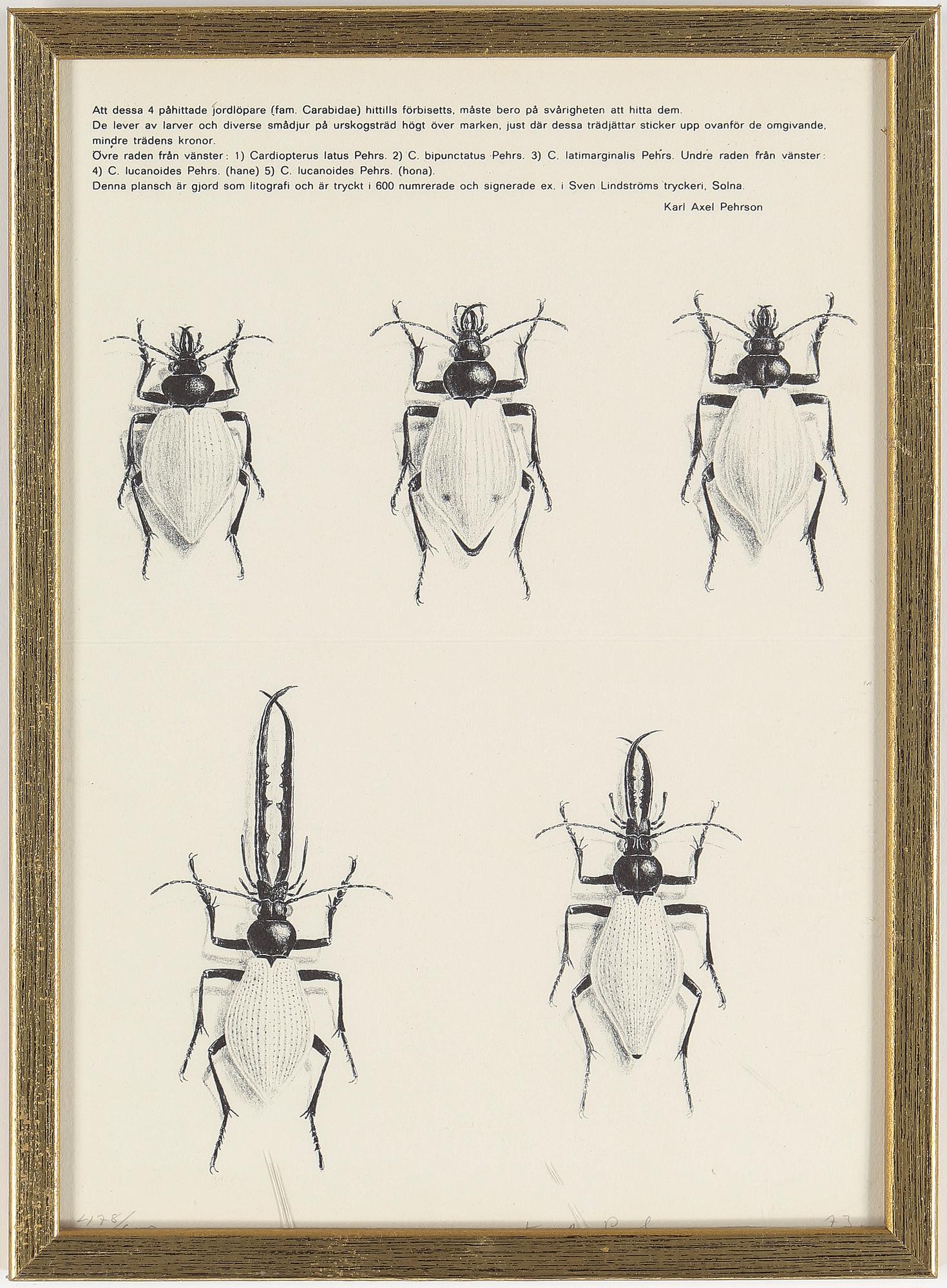 KARL AXEL PEHRSON, 9 st, litografier, signerade, olika dateringar och numreringar.