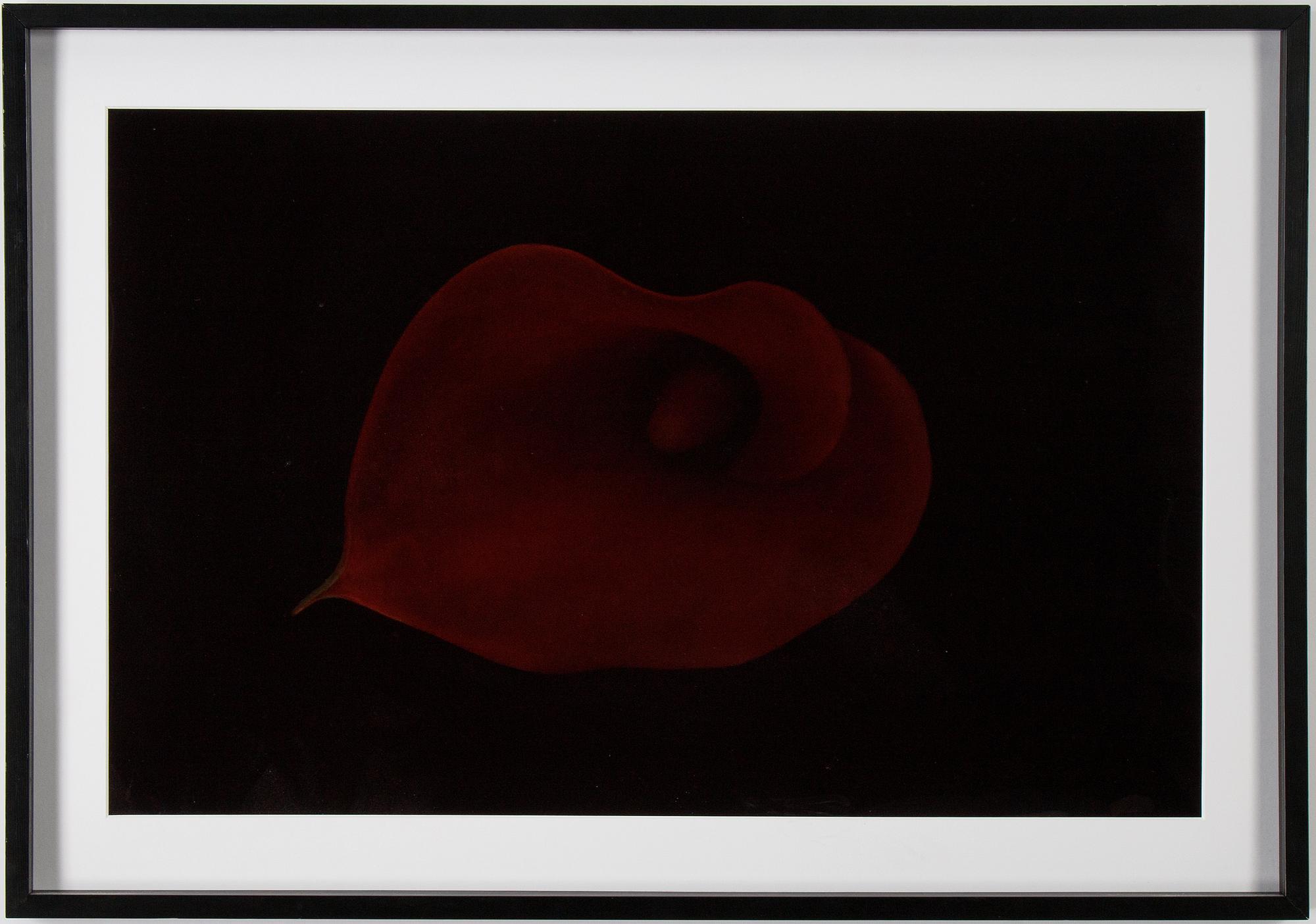 Richard Learoyd, c-print, signed on label verso.