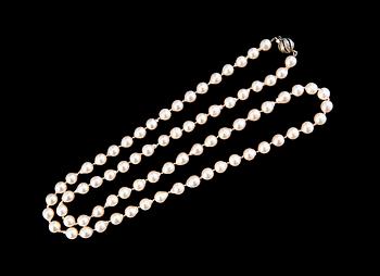 239. PEARLCOLLIER.