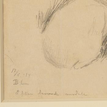 Bruno Liljefors, Studie av en hare.