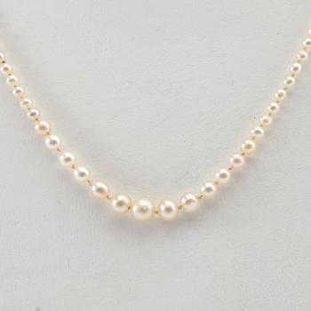 Necklace of cultured pearls with a clasp of gold set with diamonds.