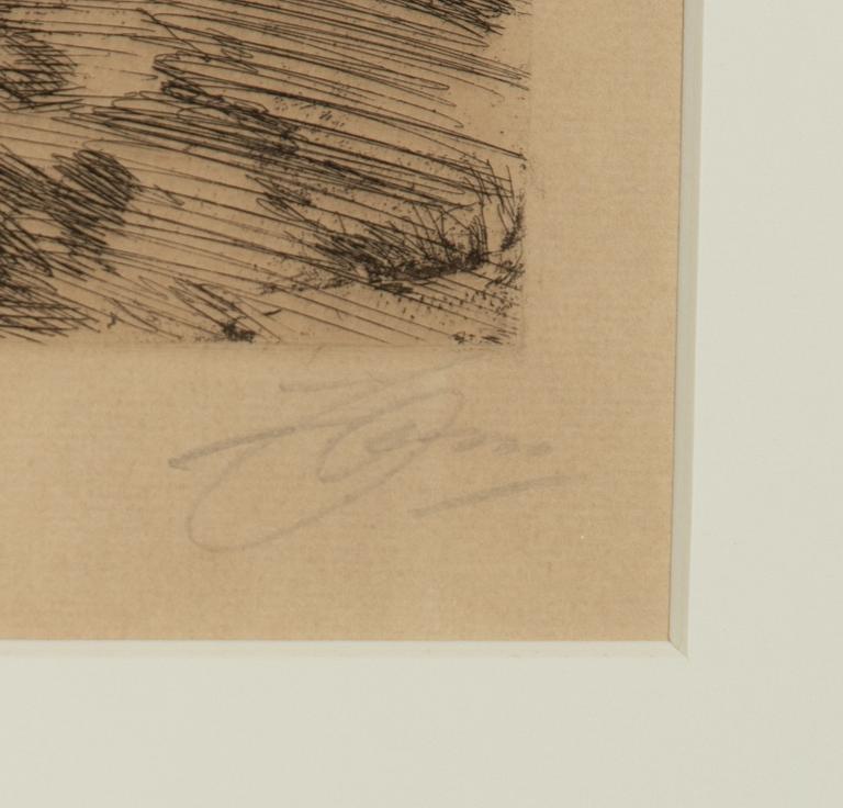 Anders Zorn, "Gärdesgård".