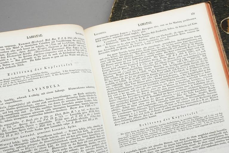 FRIEDRICH GOTTLOB HAYNE, 4 vol i 2, Darstellung und Beschreibung der Arzneygewächse.., Berlin resp Leipzig 1829-1848.