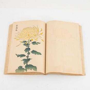 Bok, Hasegawa Keika 長谷川契華, '100 krysantemum' 契花百菊, volym III, Japan 1893.