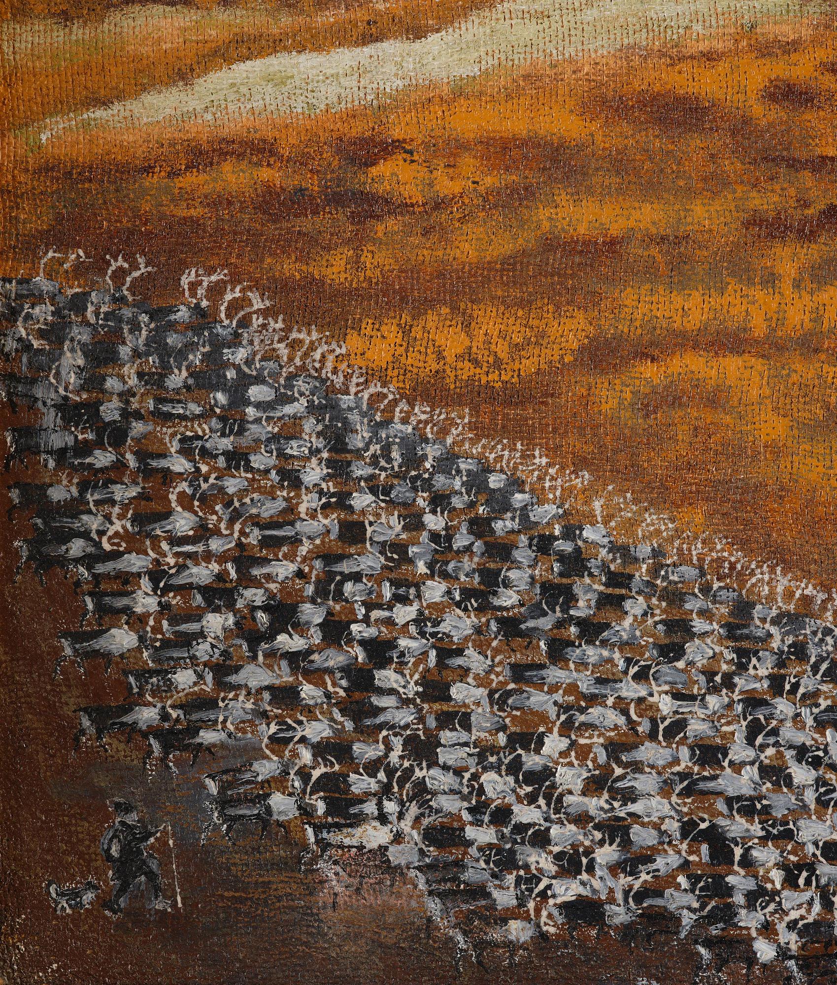 Nils Nilsson Skum, Reindeer herding.