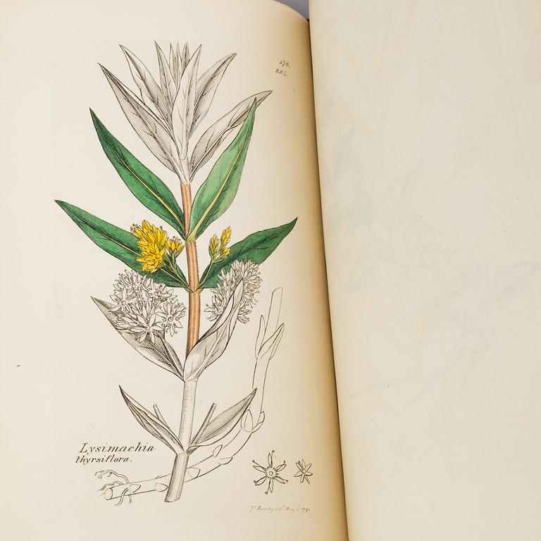 BÖCKER, 12 volymer, "English Botany", Sir James Edward Smith, James Sowerby, London, 1832-46.